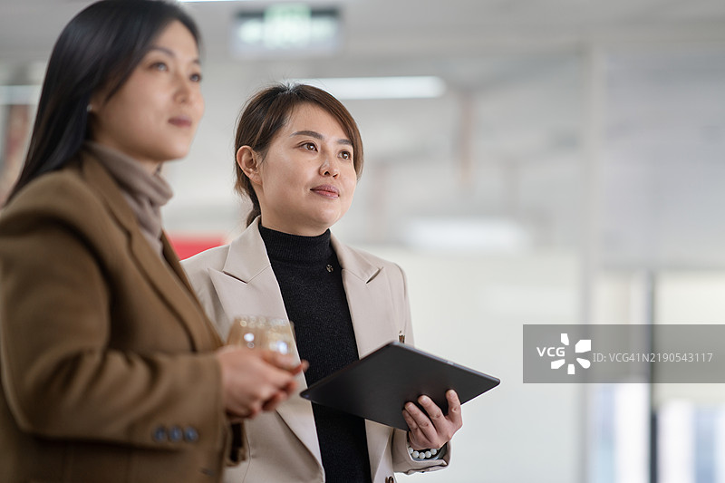 两位女商人在办公室使用平板电脑图片素材