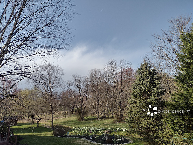 宾夕法尼亚州的美丽后院图片素材