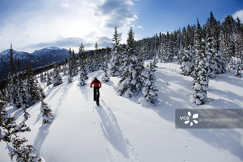 冬季胖胎自行车骑行图片素材