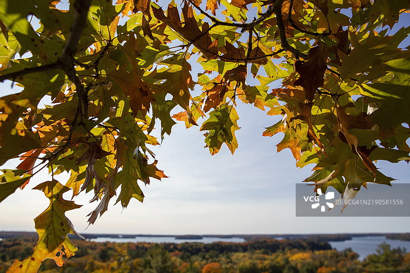 哈克贝里岩石瞭望台图片素材