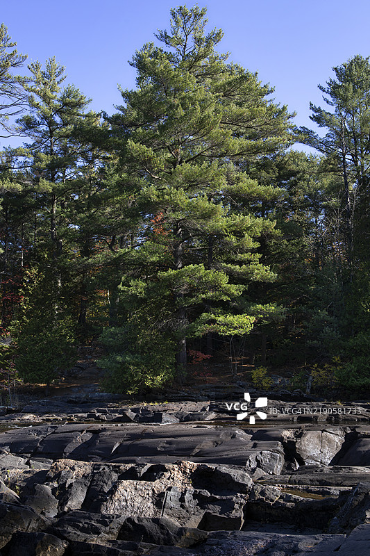 威尔逊瀑布图片素材