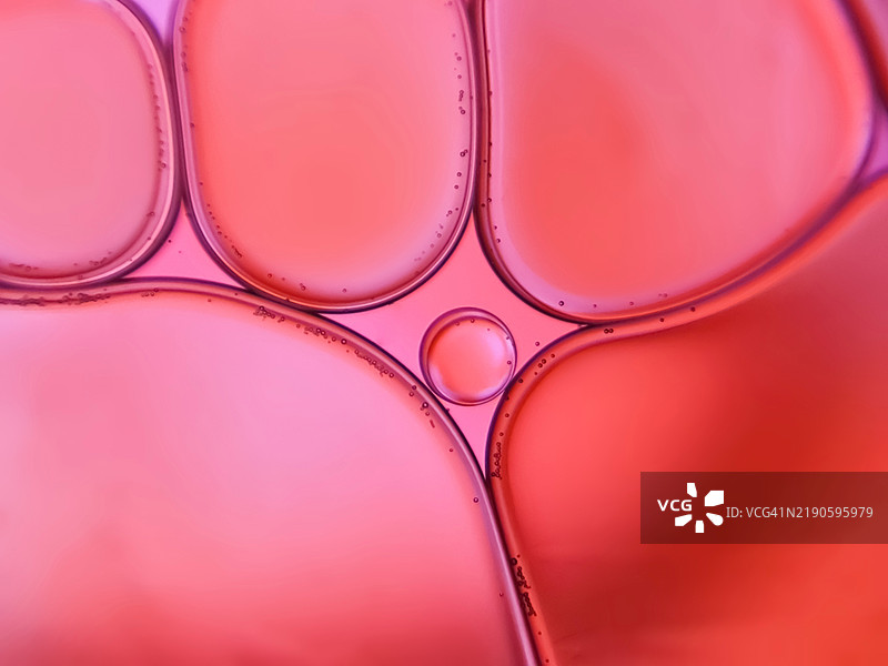 气泡的全景特写图片素材