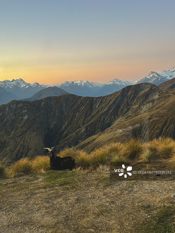 新西兰日落时分的山脉美景与天空相映成趣图片素材
