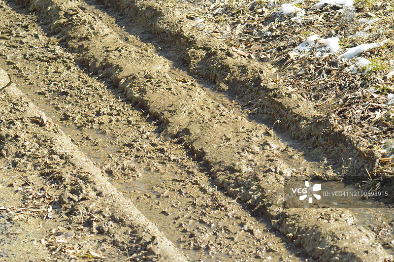 泥土中的轮胎痕迹特写图片素材