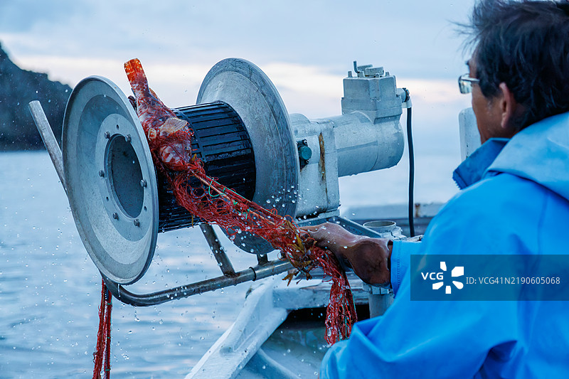 南伊豆的一位龙虾渔民正在用小渔船上安装的起重机拉起他前一晚设置的刺网。图片素材