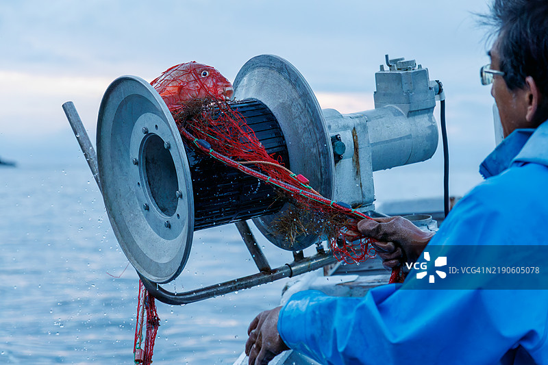 南伊豆的一名龙虾渔民正在用小渔船上安装的起重机拉起他前一晚设置的刺网。图片素材