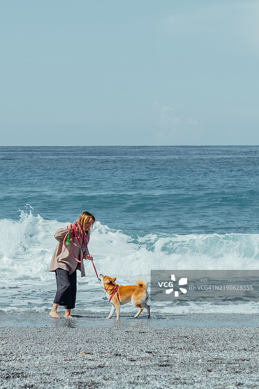 女人在阳光明媚的日子里与狗一起享受海滩散步。女人和她的四条腿朋友在海滩上度过美好时光。女孩和她的毛茸茸的伴侣柴犬在大自然中充满快乐。图片素材