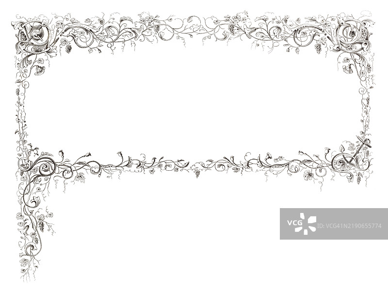 华丽的花卉和装饰边框设计图片素材