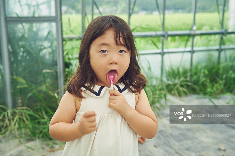 我就是喜欢棒棒糖！图片素材