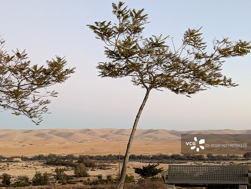 日出时分的耶鲁哈姆，四周被沙漠环绕，供路人休息的长椅图片素材