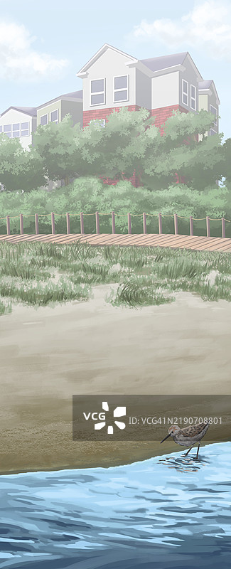 海滨住宅插图图片素材