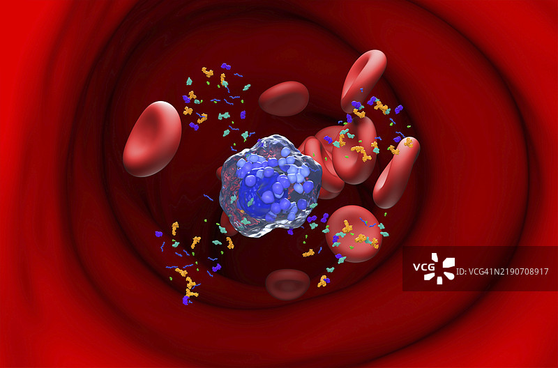 活化的肥大细胞插图图片素材