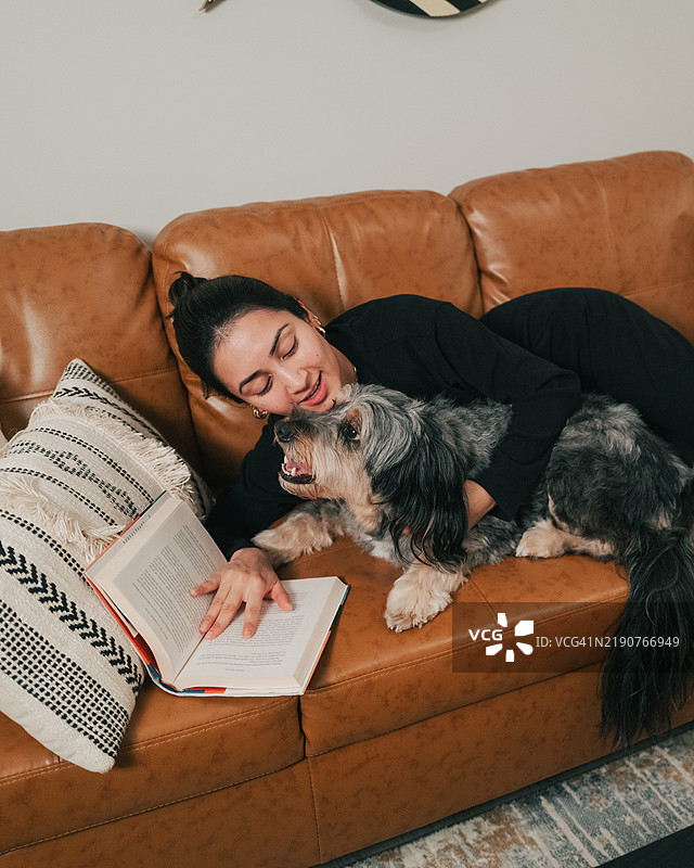 与狗狗在沙发上阅读和放松 - 澳大利亚牧羊犬 - 拥抱 - 澳大利亚牧羊犬图片素材