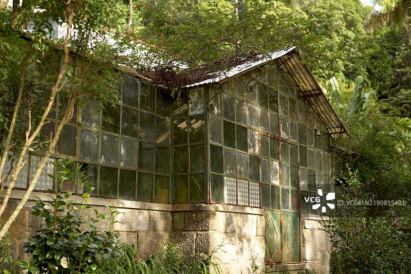 被植物覆盖的废弃温室，位于树冠下，葡萄牙图片素材