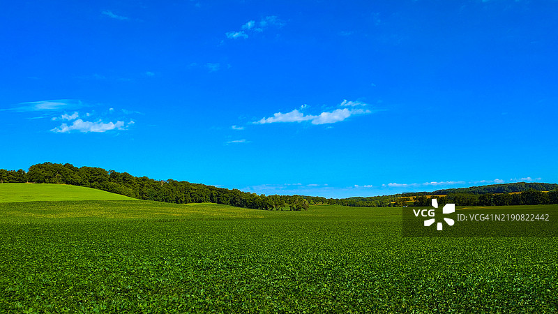 乡村农场图片素材