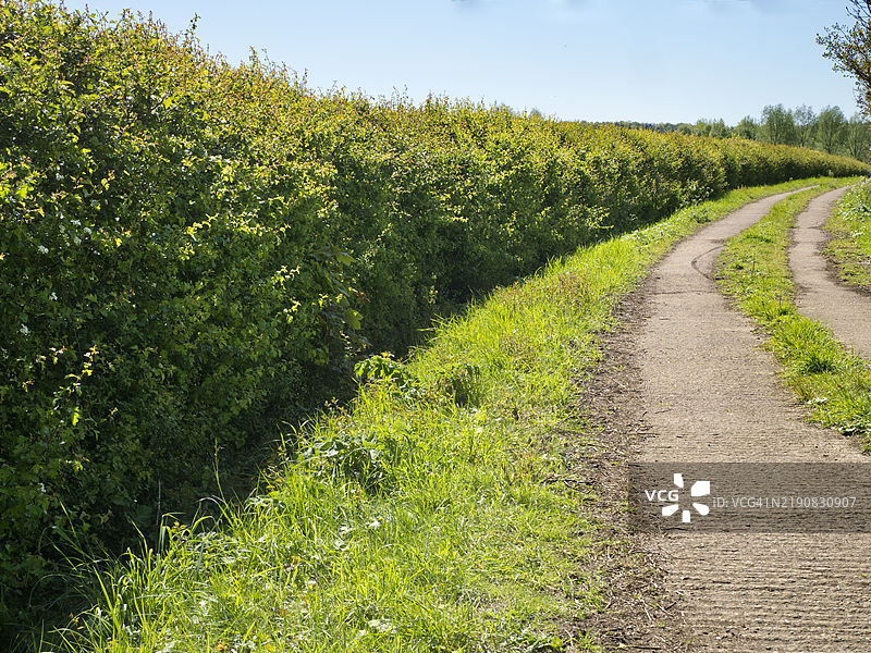 通往远方的消失人行道，拉德利下村图片素材