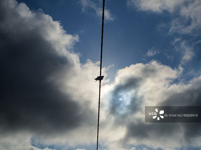 在下拉德利的电线上栖息的鸟，阳光被遮挡图片素材