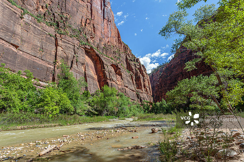 维珍河在犹他州锡安国家公园的西纳瓦瓦神庙区域沿着河滨步道穿过砂岩岩层。图片素材