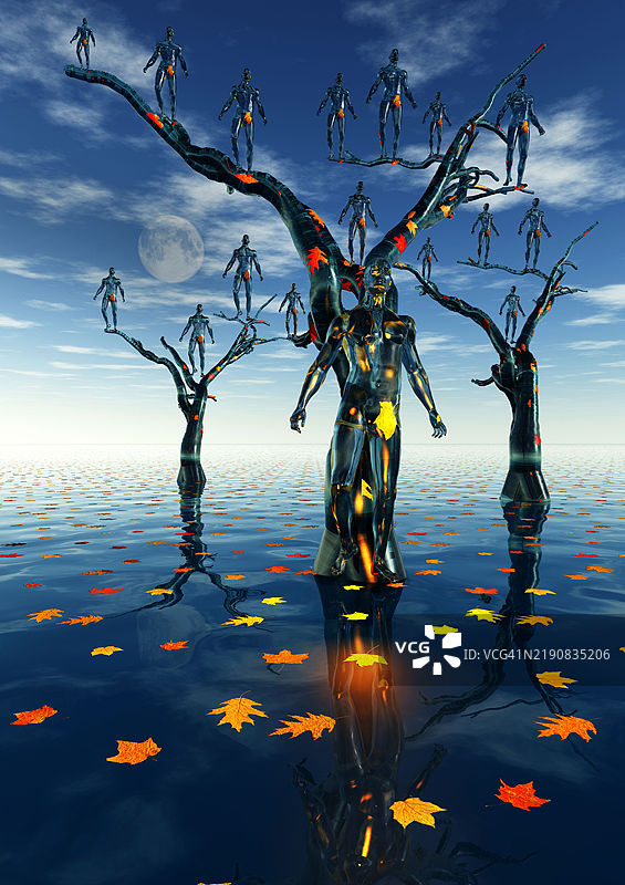 生命之树图片素材