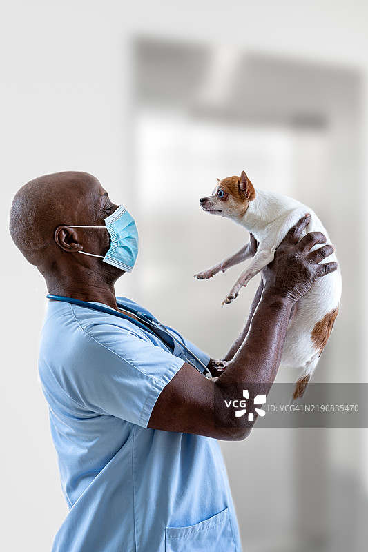兽医，狗狗护理图片素材