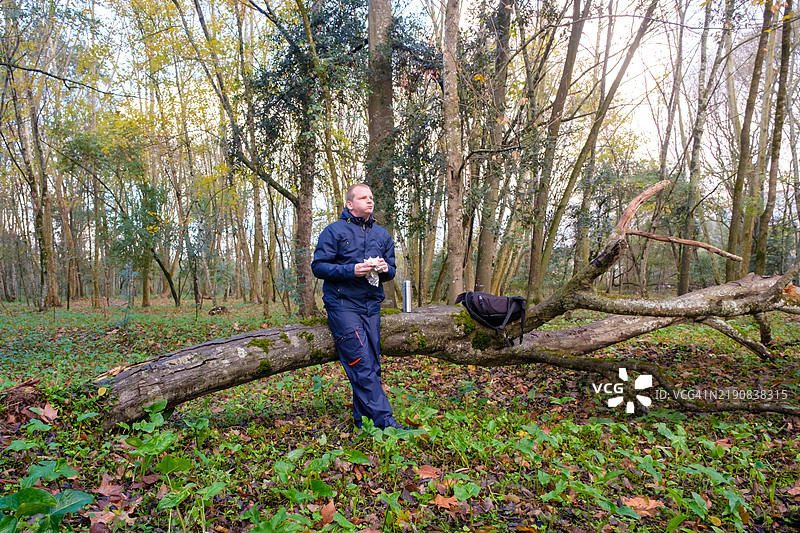 在树林里休息，享用茶和混合三明治图片素材