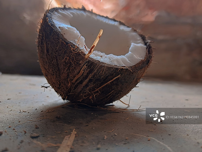 椰子的特写镜头图片素材