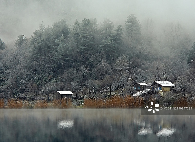 湿地的风景图片素材