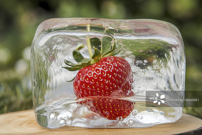 一颗成熟的草莓被冰冻在冰块中图片素材