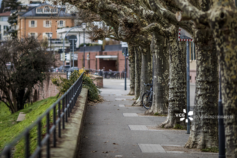 秋季氛围中的城市人行道，树木和一辆自行车，树丛中的废弃自行车图片素材