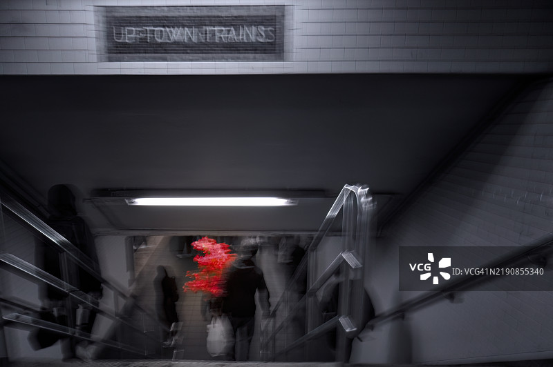 男子手提红花走下楼梯前往42街的Uptown 1号线火车图片素材