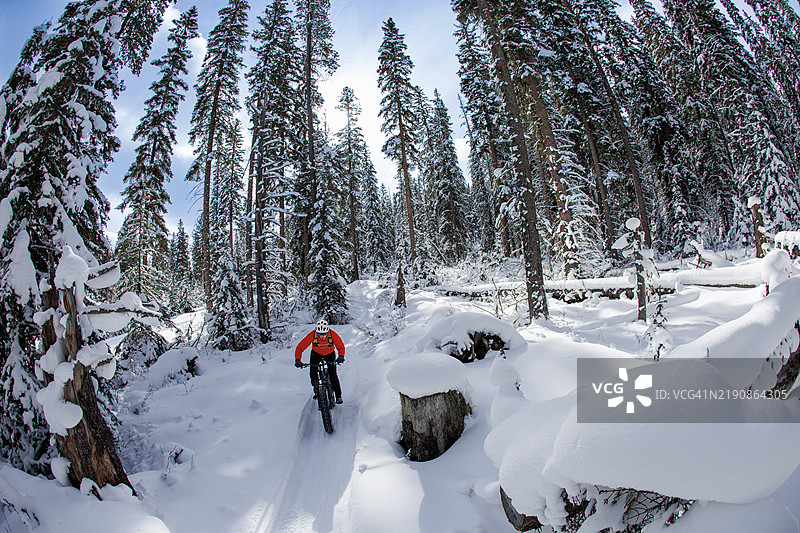 加拿大落基山脉冬季胖轮自行车骑行图片素材