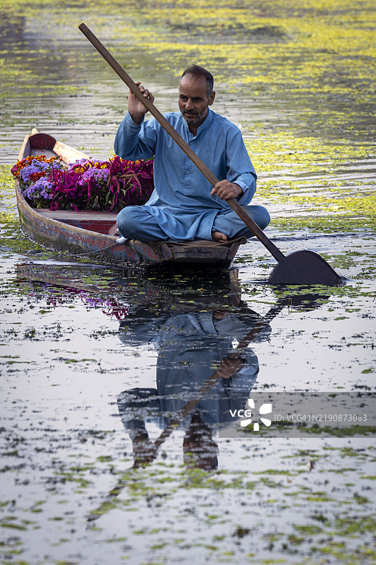 一名男子优雅地划着装饰着鲜花的船只，穿行于达尔湖，展现了克什米尔永恒传统的宁静之美与魅力。图片素材