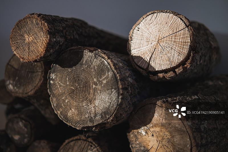 一堆木柴，展示了年轮和树皮图片素材