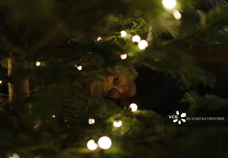 女人透过圣诞树的树枝观看图片素材