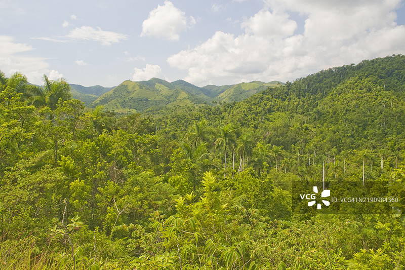 罗萨里奥山生物圈保护区，阿尔特米萨省，古巴，西印度群岛，加勒比海，中美洲图片素材