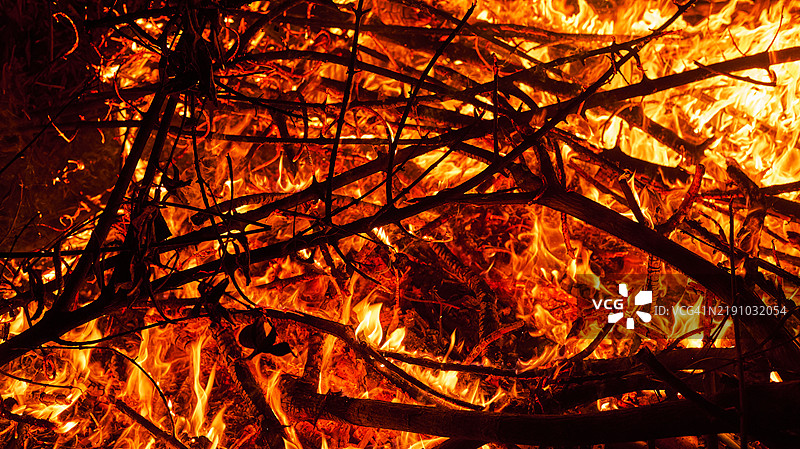 炽热的火焰吞噬干枯的树枝图片素材