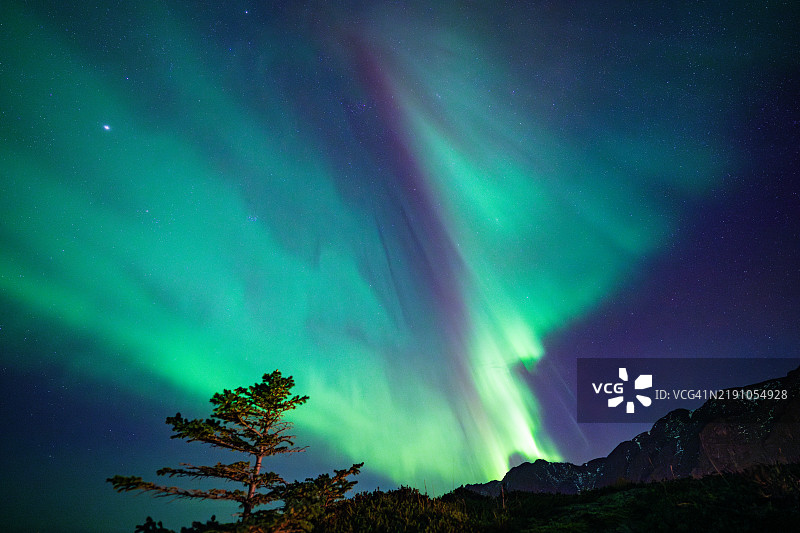 北极光 - 萤火虫 - 挪威洛弗敦群岛的极光图片素材