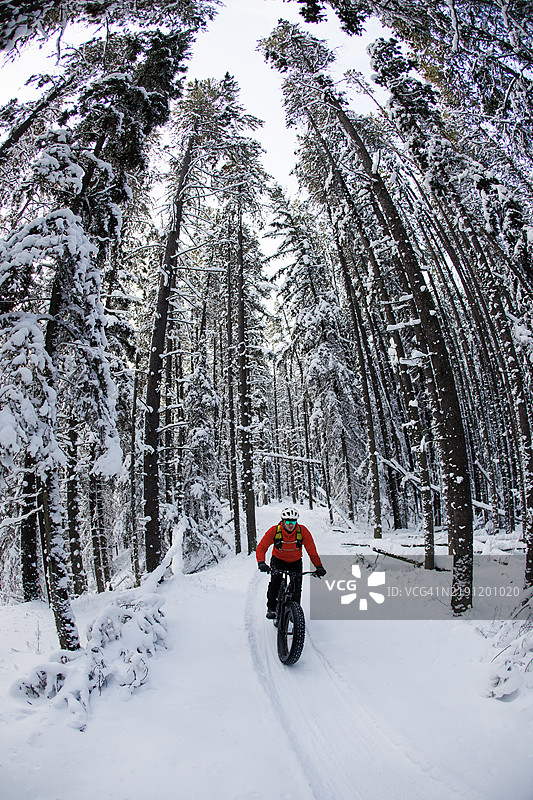 加拿大冬季胖轮自行车冒险图片素材