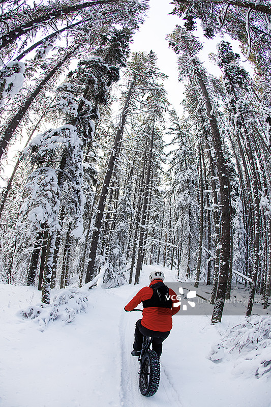 冬季山地自行车胖胎骑行图片素材