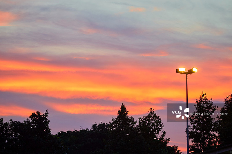 日落时分，低角度视图下树木的剪影与天空相映成趣图片素材