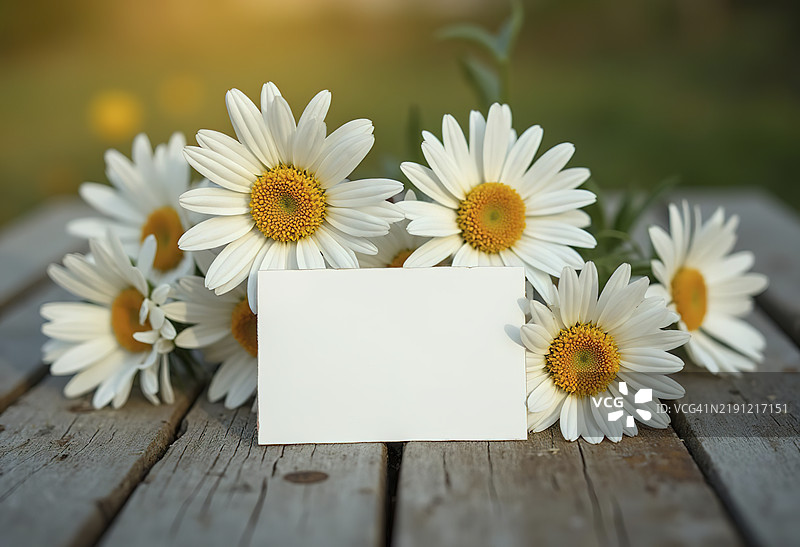 白色雏菊花与一张空白卡片放在木质表面上图片素材