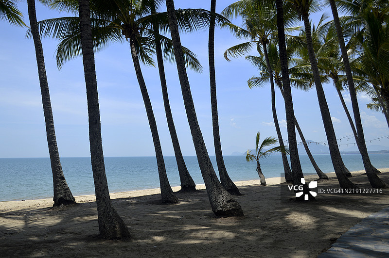 昆士兰州海滩上棕榈树与天空的美丽景色图片素材