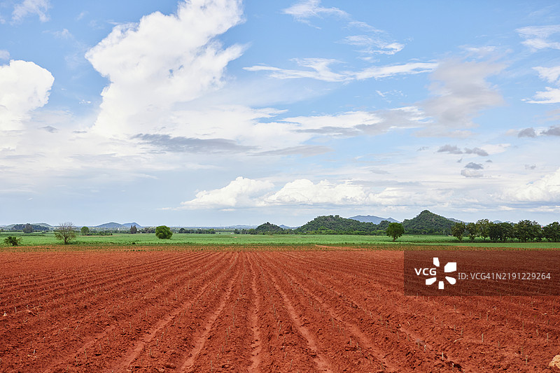 农业风光，准备耕地种植木薯图片素材
