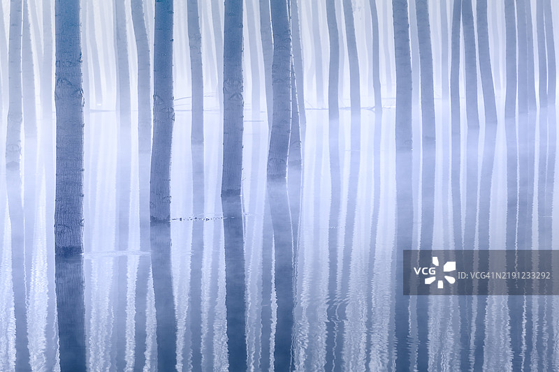 冰柱的全景特写图片素材