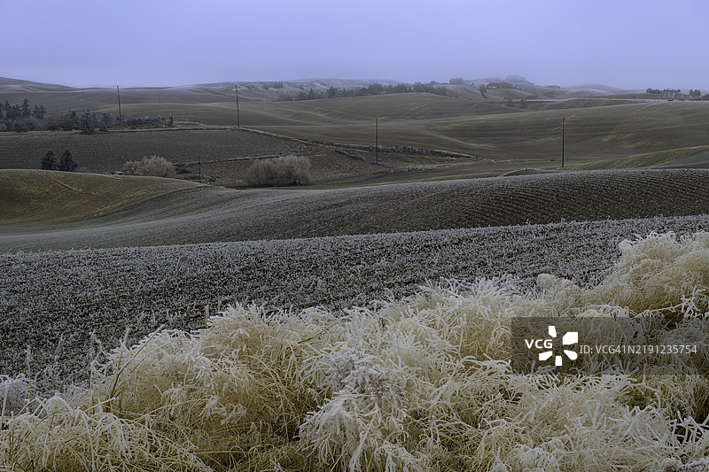 华盛顿州普尔曼的天空下的田野美景图片素材