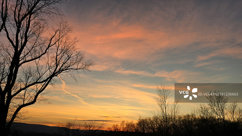光秃树木的剪影映衬在橙色天空下，宾夕法尼亚州蒙图尔斯维尔，美国图片素材