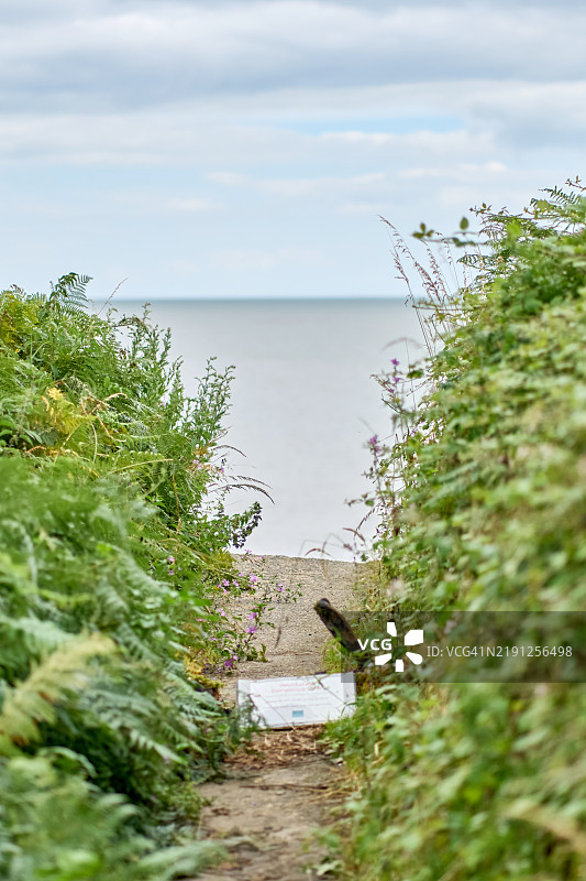 科维希（Covehithe）悬崖顶端小径的尽头 - 萨福克 - 英国图片素材