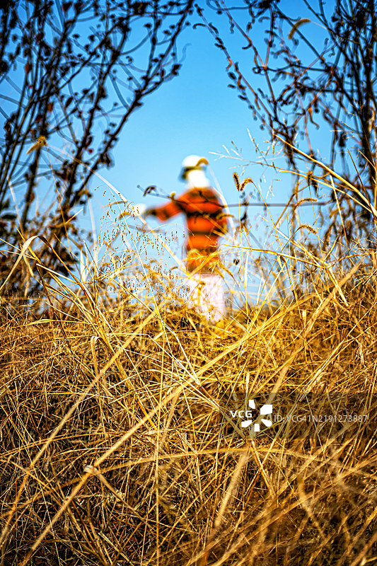 模糊的稻草人在秋季风景中图片素材