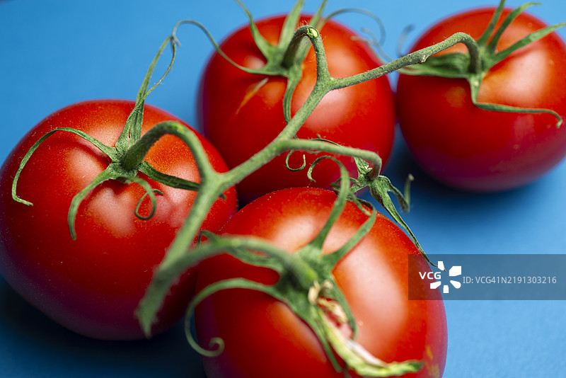 蓝色背景上的葡萄番茄图片素材