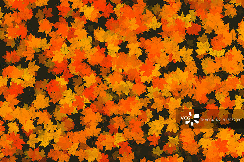 秋天的枫叶图案，营造出充满活力的秋季背景图片素材